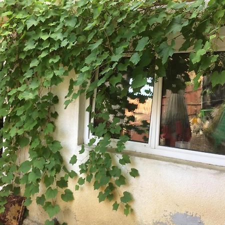 Casa Cu Curte Otel Braşov Dış mekan fotoğraf