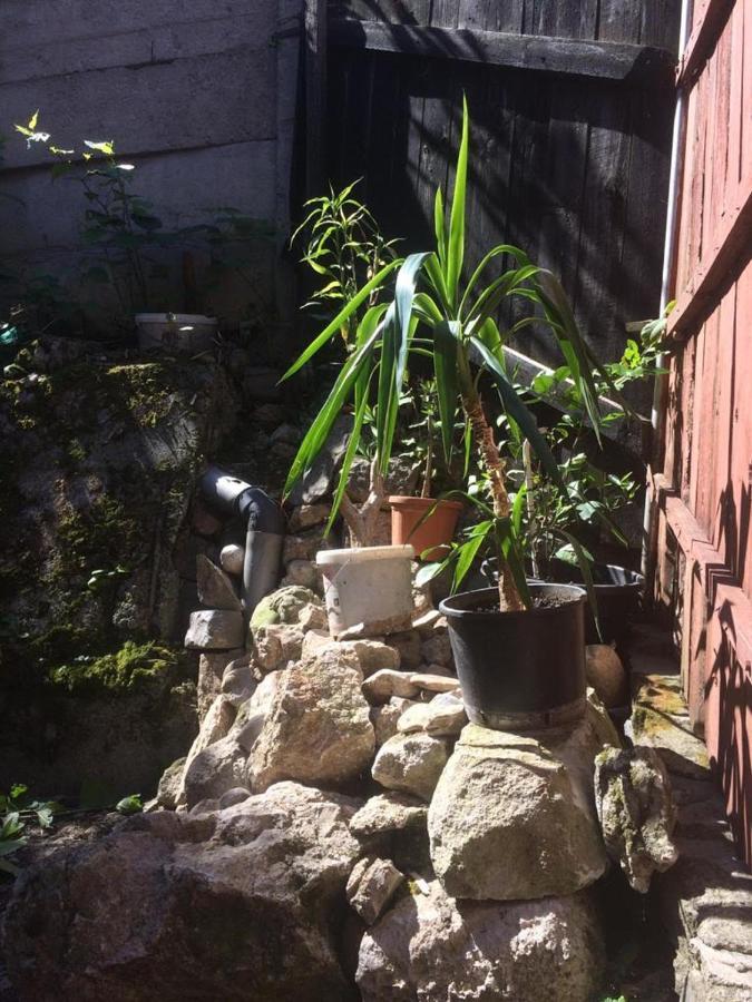 Casa Cu Curte Otel Braşov Dış mekan fotoğraf