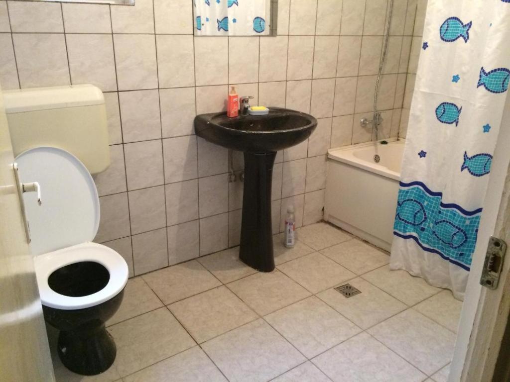 Casa Cu Curte Otel Braşov Dış mekan fotoğraf